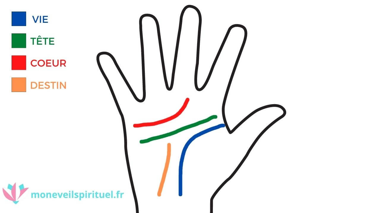 Comment lire les lignes de la main ? - Mon Éveil Spirituel